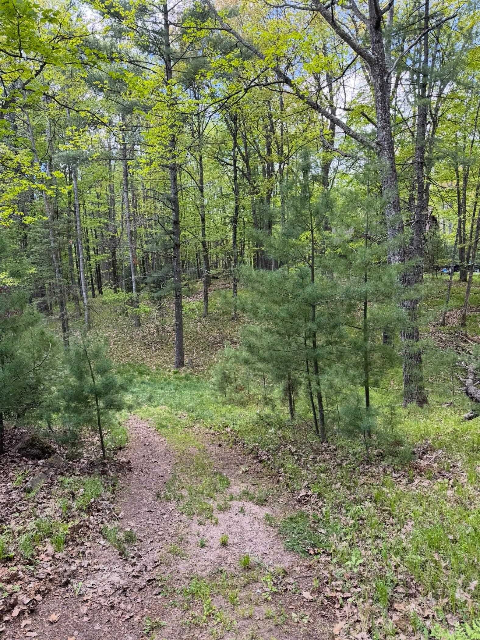 Trailwood Drive